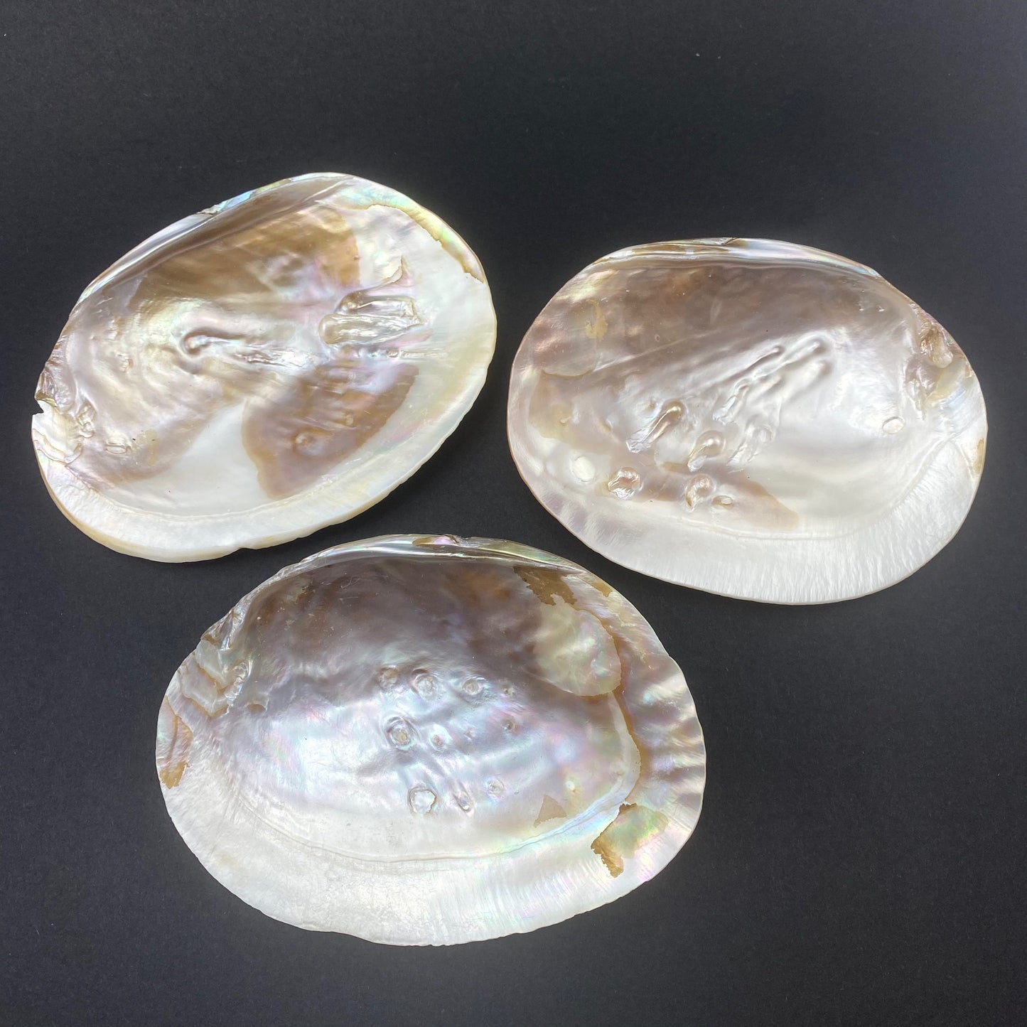 Blister Pearl Shell, Smudging Shell, Smudging Dish, Pearl Shell, Abalone Shell
