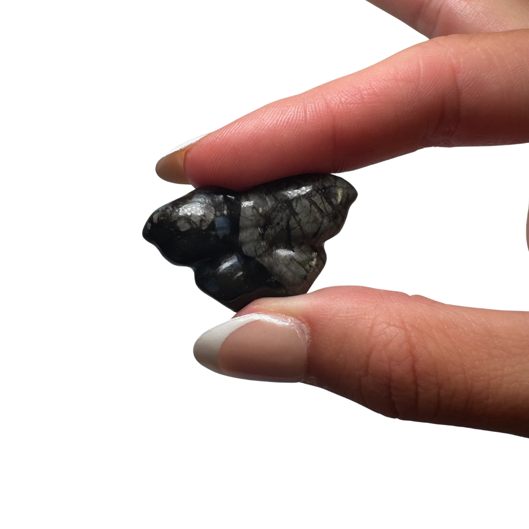 b0f11862-572b-4251-882f-9d90f4f2f97d