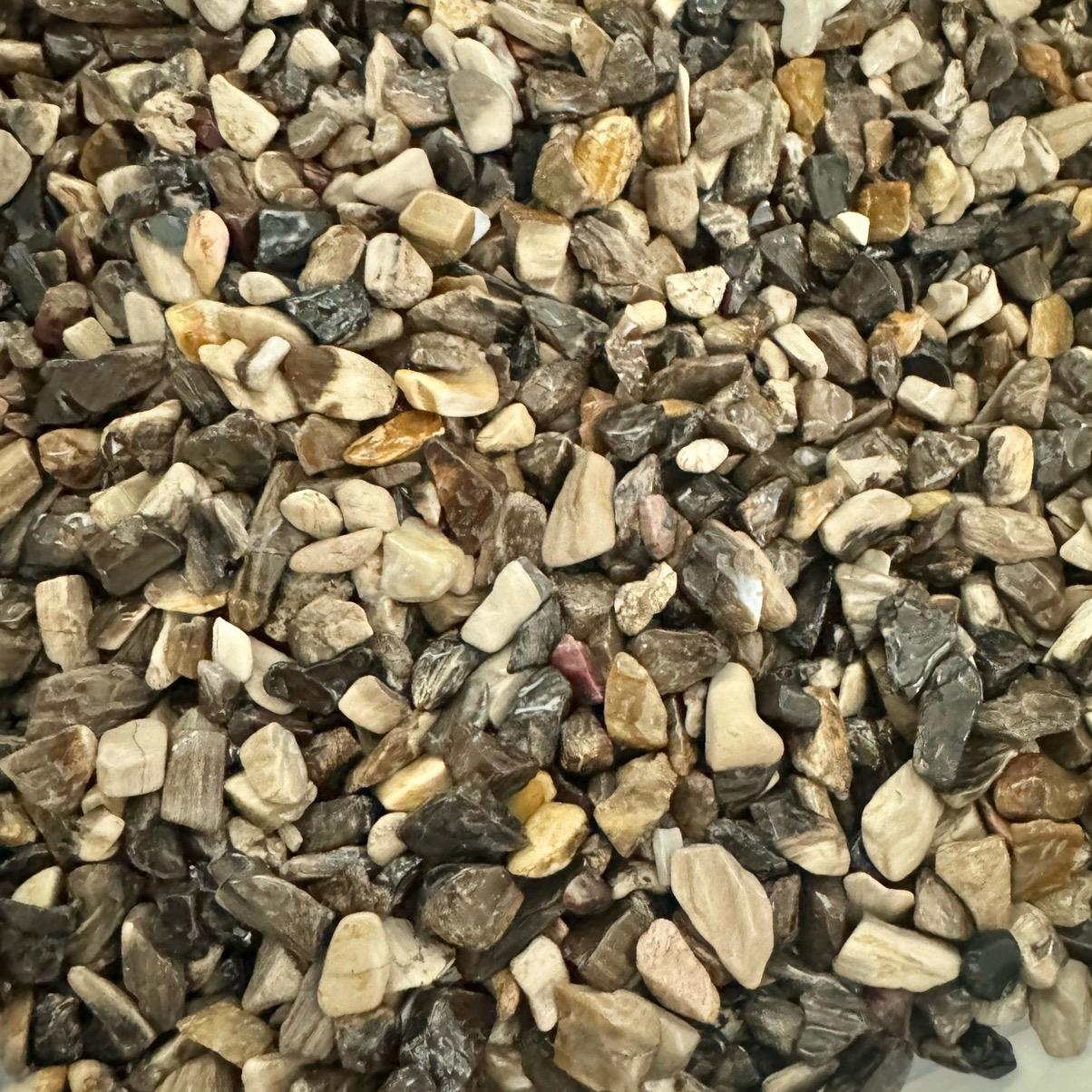 1lb Chip - Petrified Wood