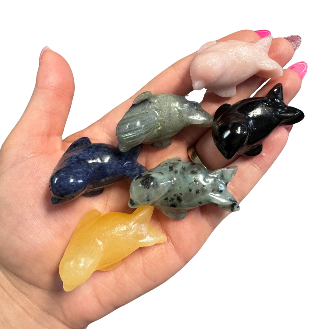 ONE Random Seal Carving