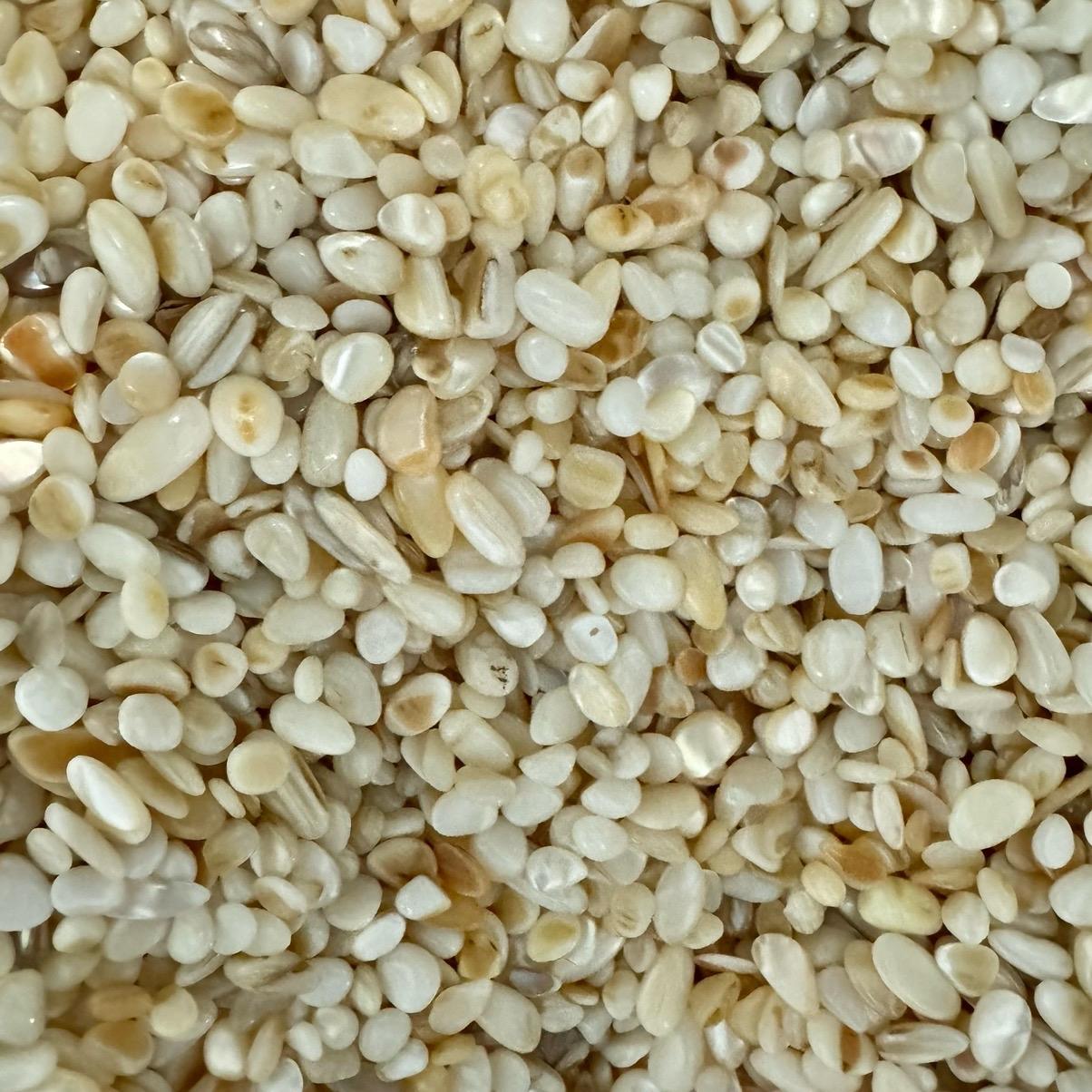 1lb Chip - Mother of Pearl