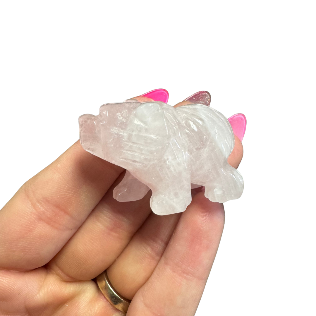 ONE Random Bear Carving