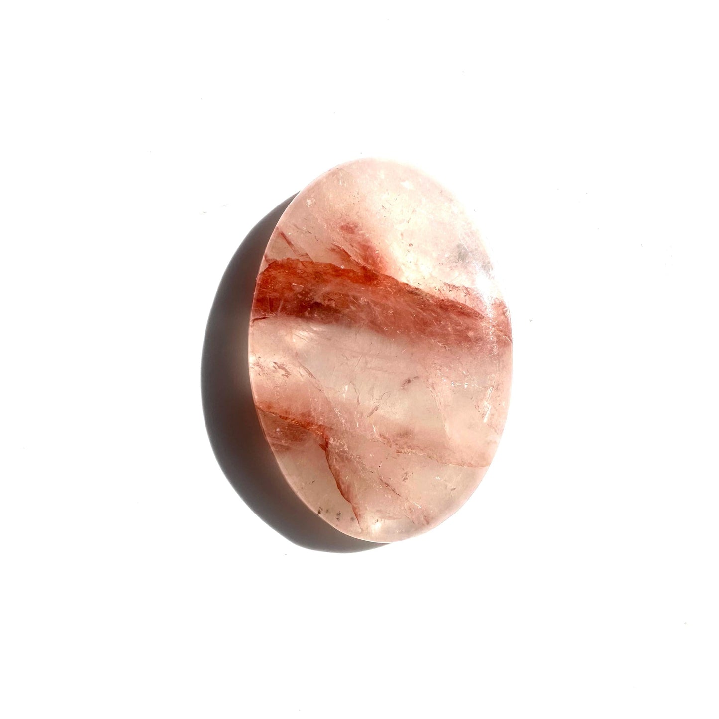 06d1d404-4694-45c1-854b-c8e56d2ca091