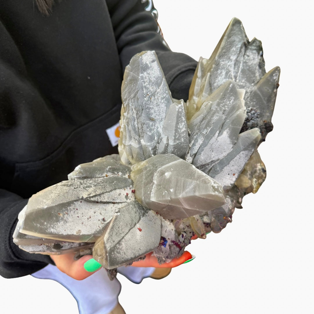 79ad67fb-b468-41ff-9ea8-54abaf4aaf82