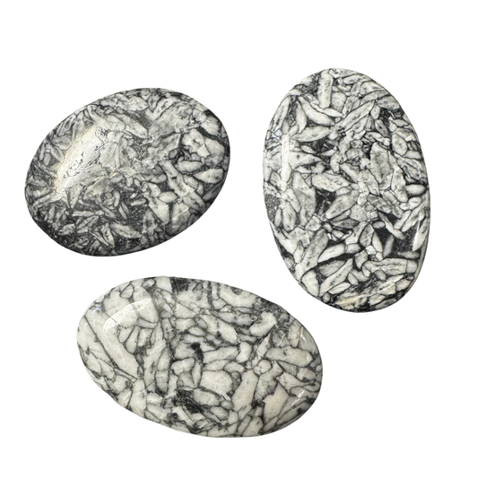 Pinolith Palm Stone