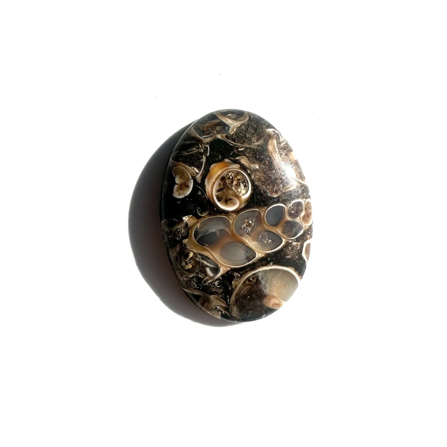 955ab7f4-4ec5-4174-85b0-9dc2d898a9d5