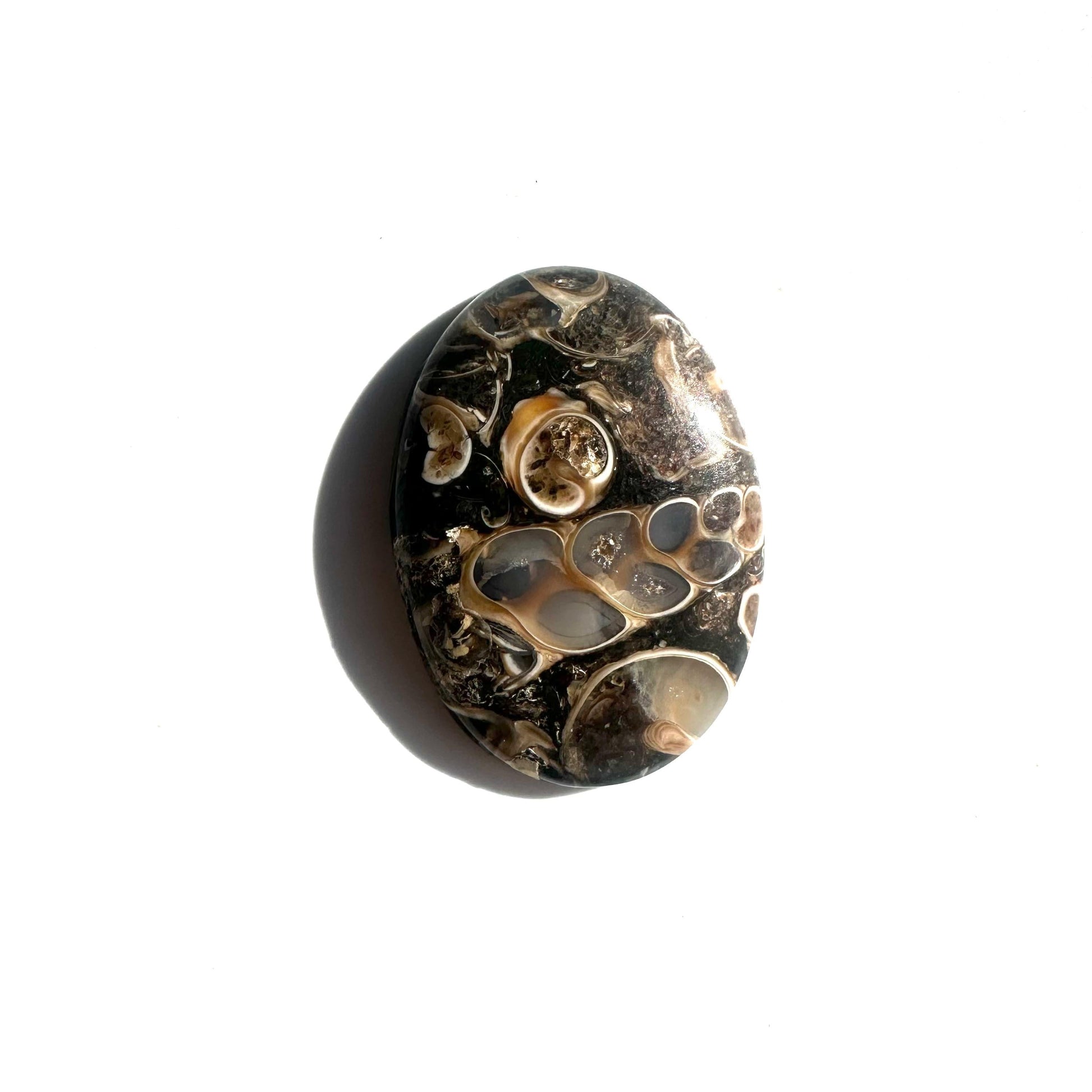 955ab7f4-4ec5-4174-85b0-9dc2d898a9d5