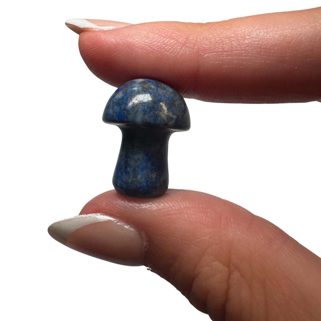 0c939e19-3f7c-407b-9f5d-9de60c80d424