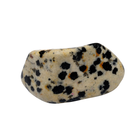 1lb Tumble - Dalmatian Stone