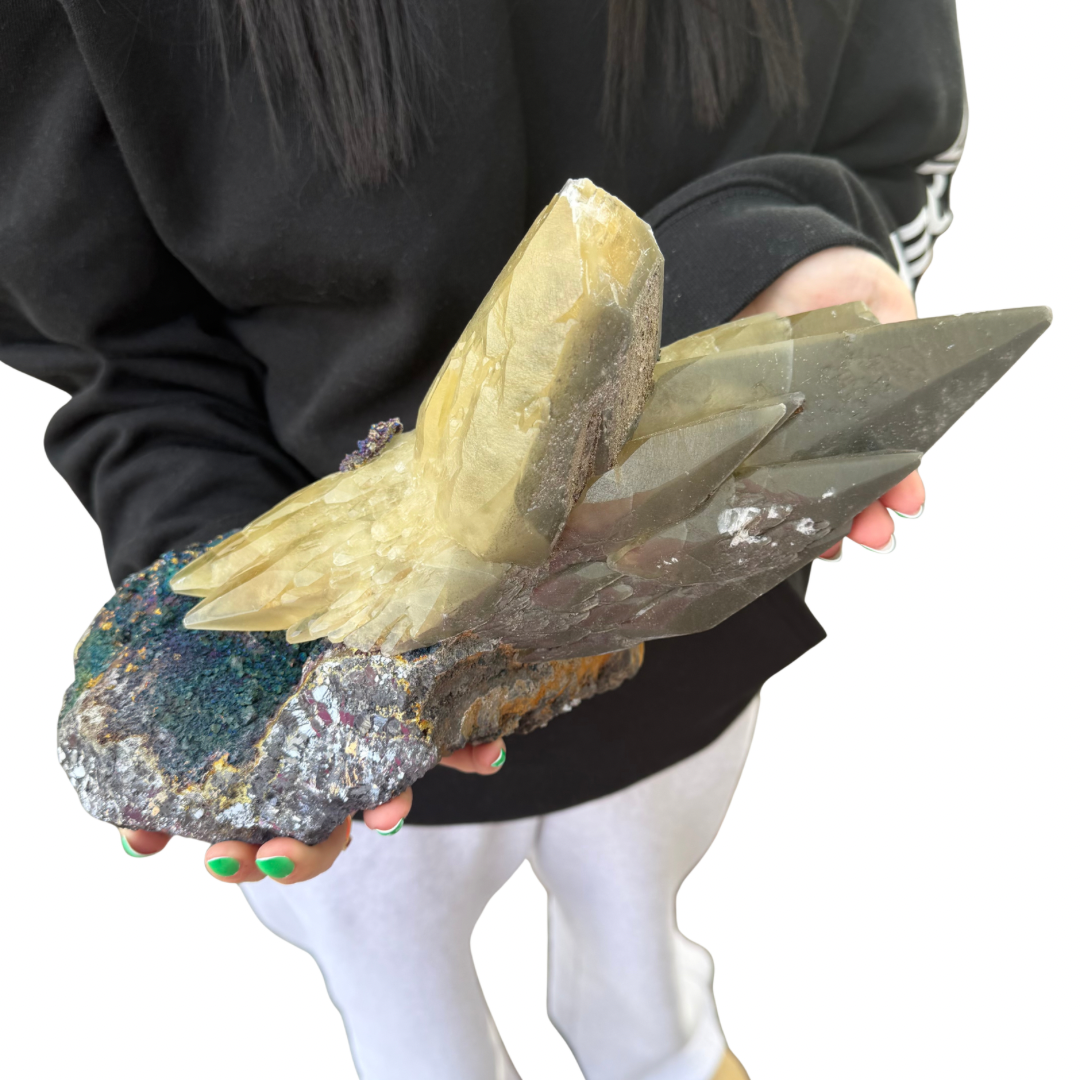 26cc2e5d-47f6-4409-bad4-c7119fab23a0