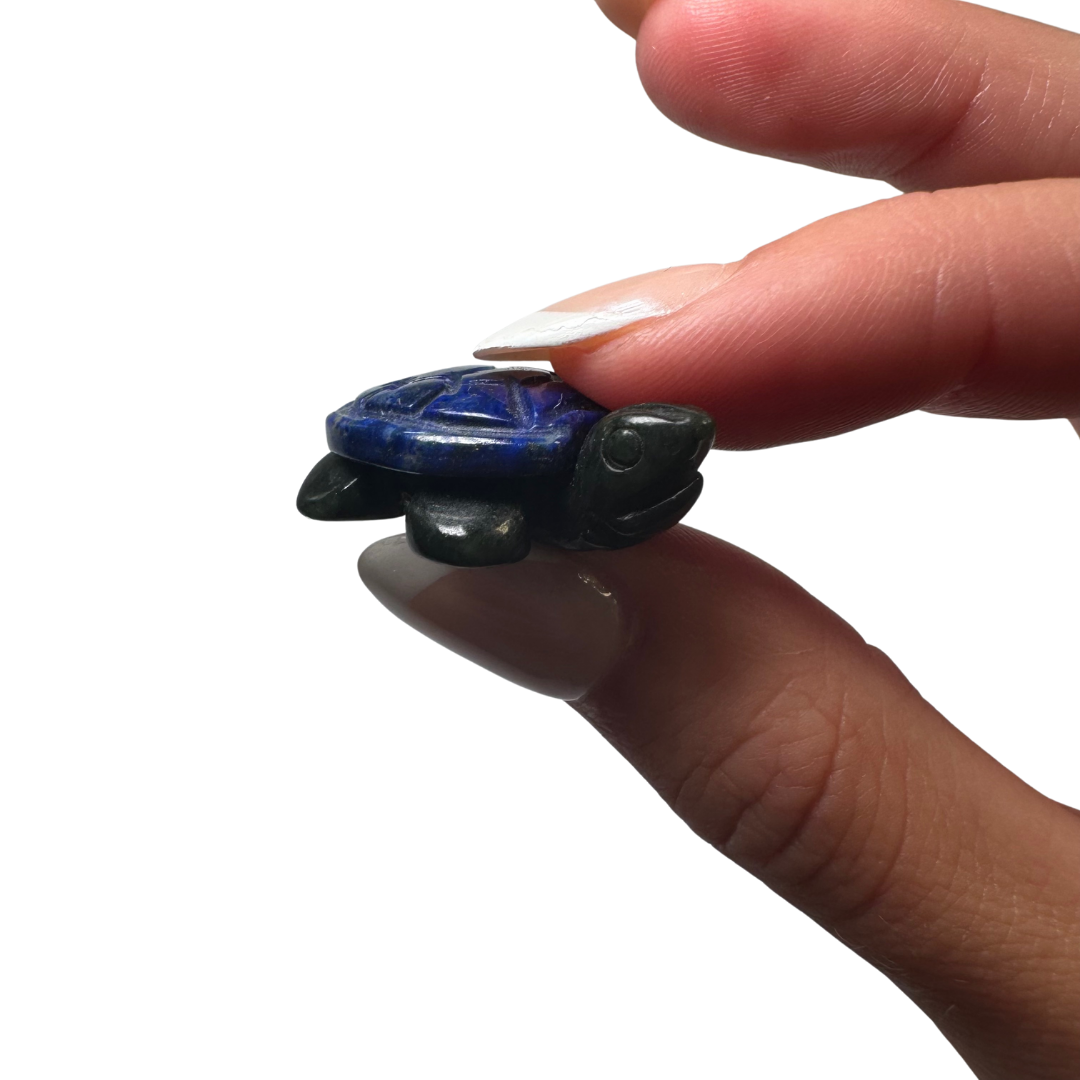 6cc789c5-3cca-4c50-839f-874336033d99