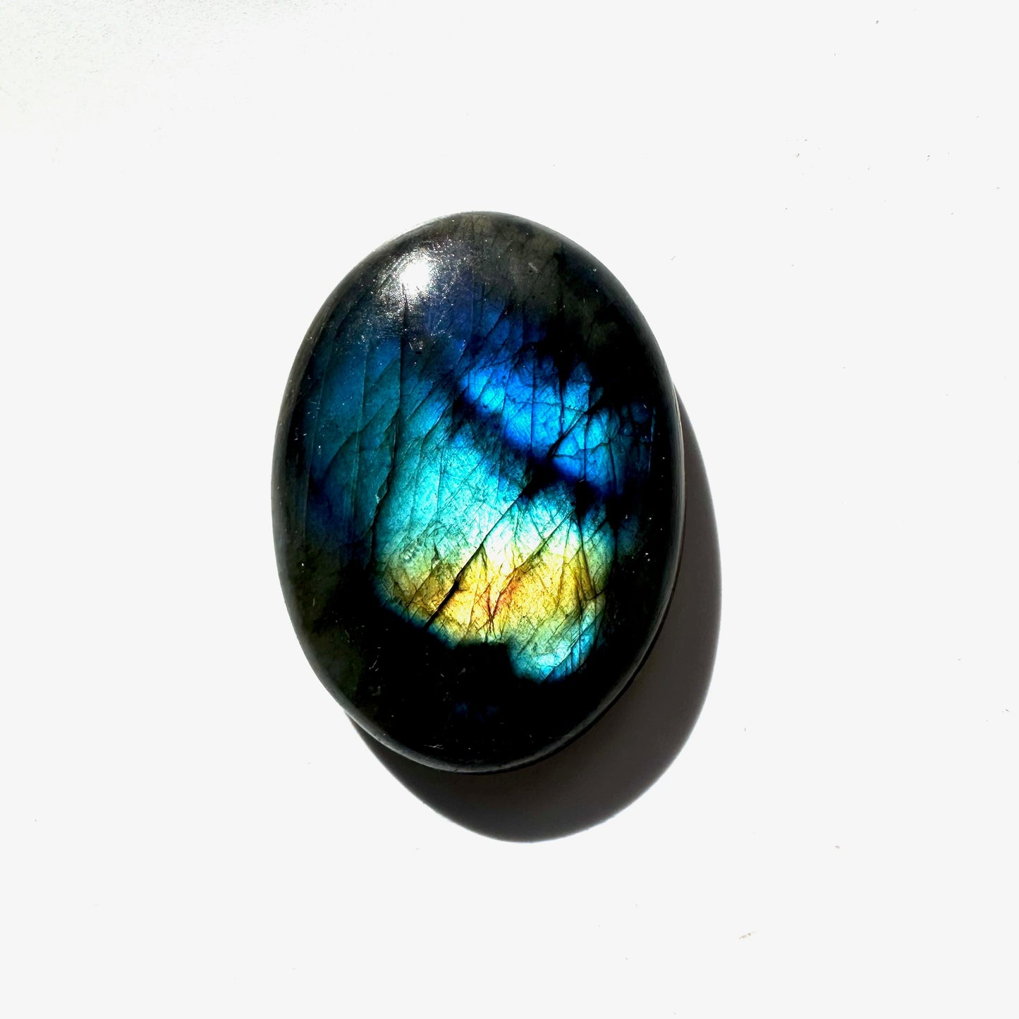 853de31f-ff28-4716-a733-f678620f5f69