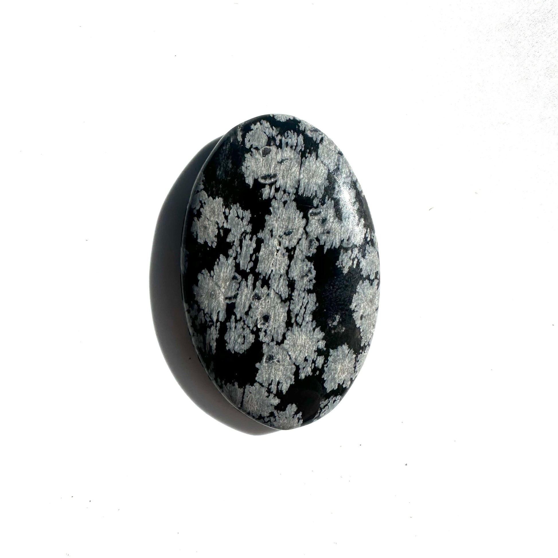 0b0fa652-8b6e-4400-a508-c31c132f2bb8