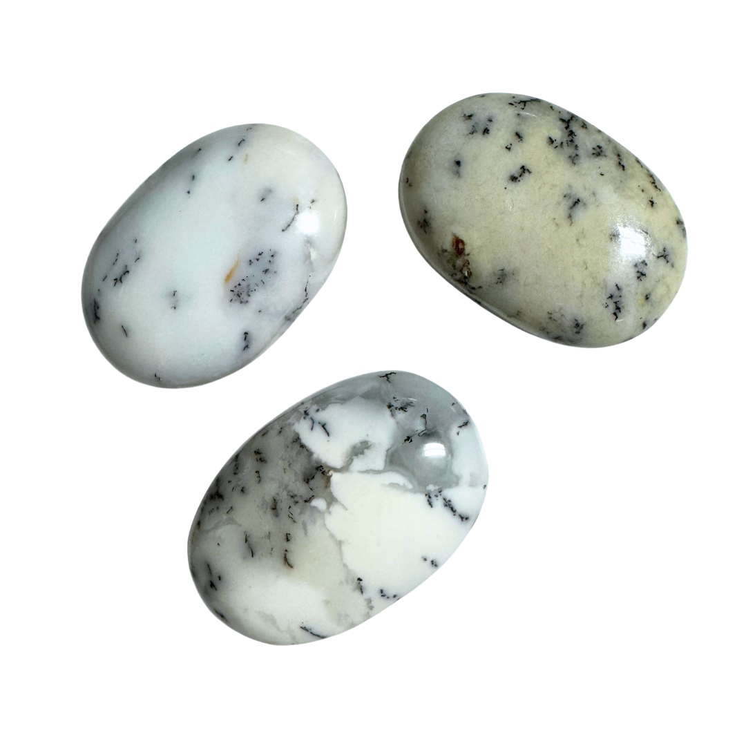 Dendritic Opal Palm Stone