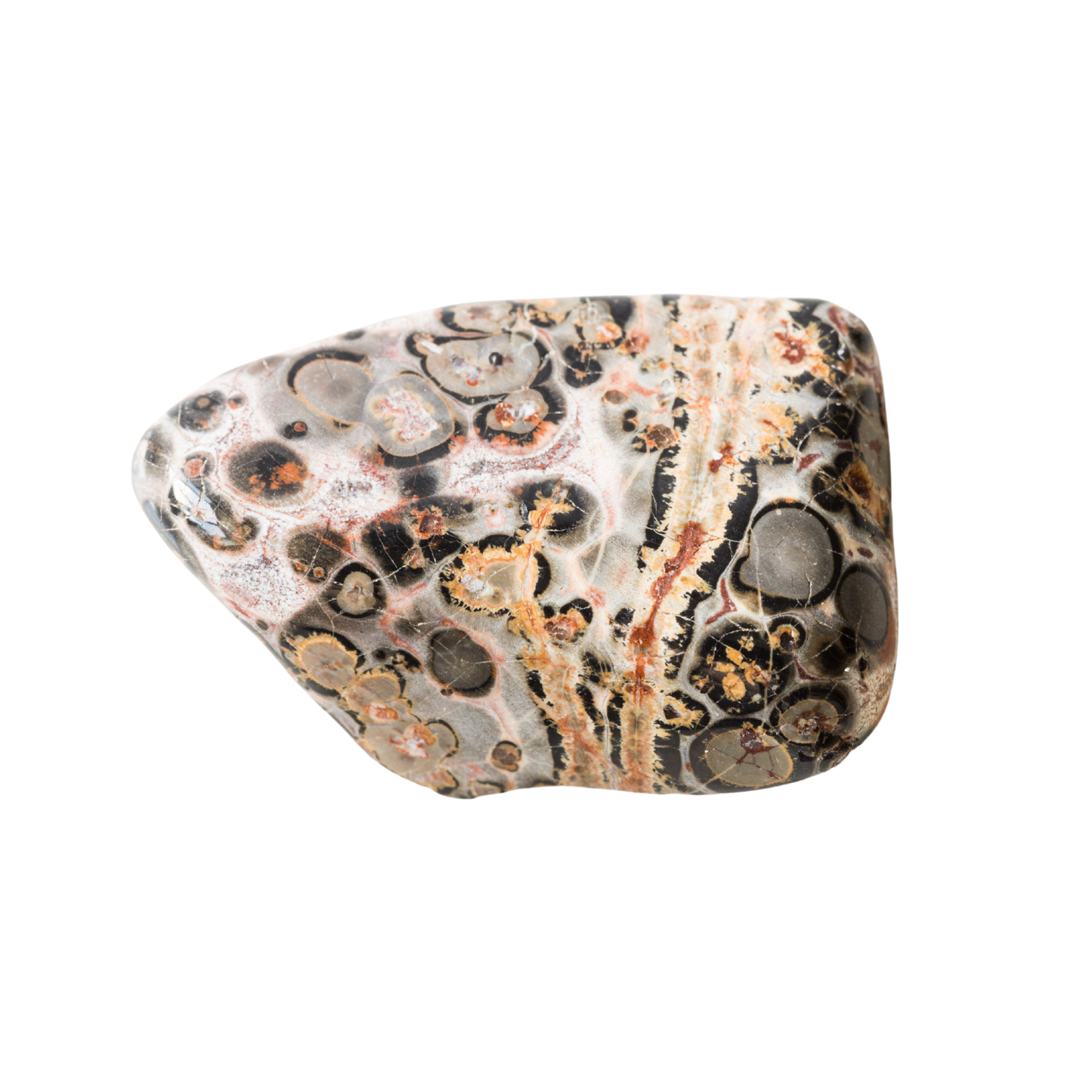 1lb Tumble - Leopard Jasper