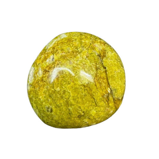 Green Opal Palm Stone