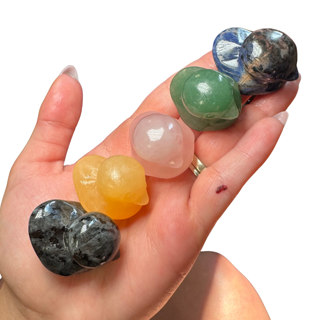 b4ce5c8b-3851-4c70-9a01-fa7b58ff868a