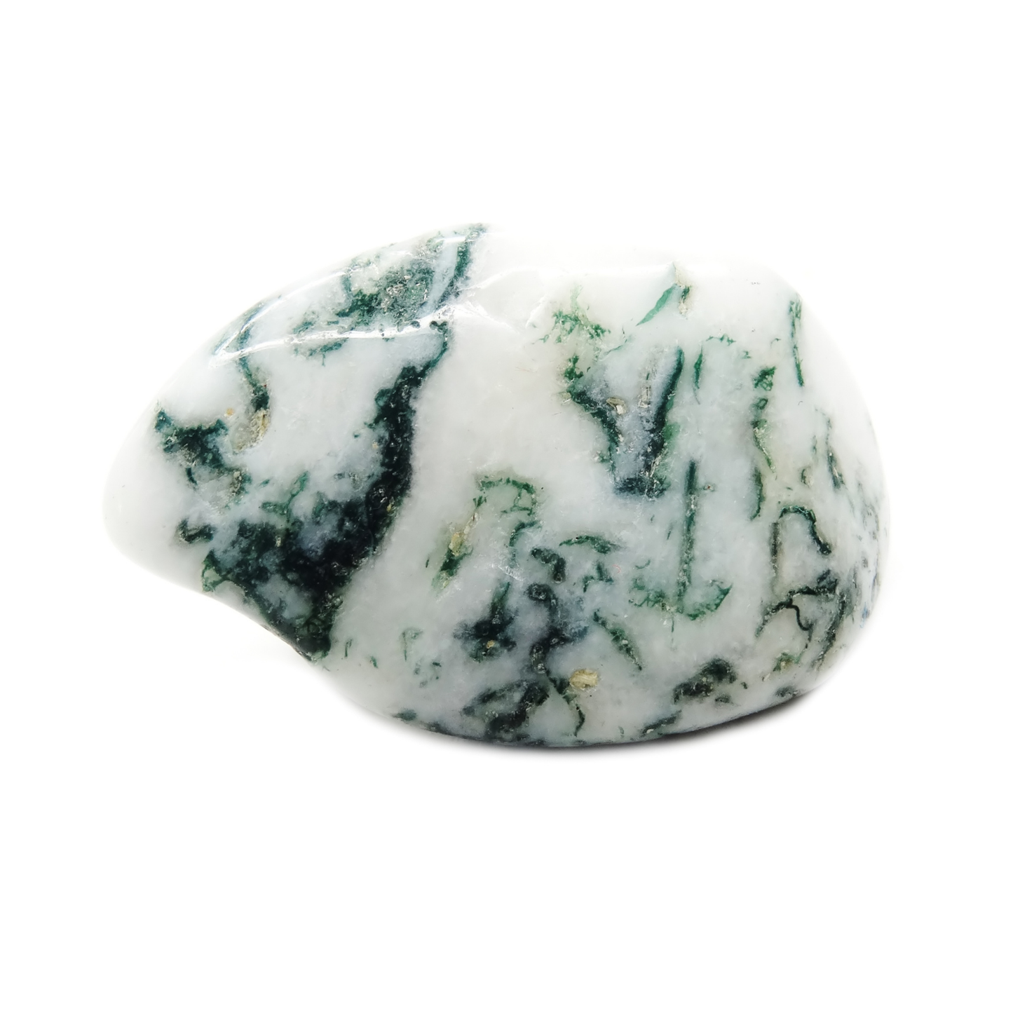 1lb Tumble - Tree Agate