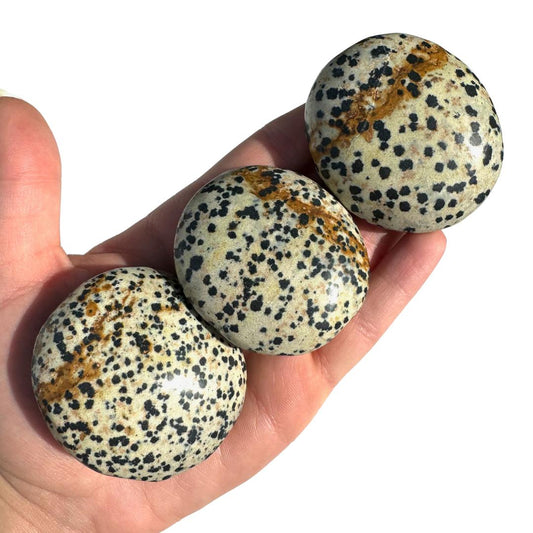 Dalmatian Jasper Palm Stone