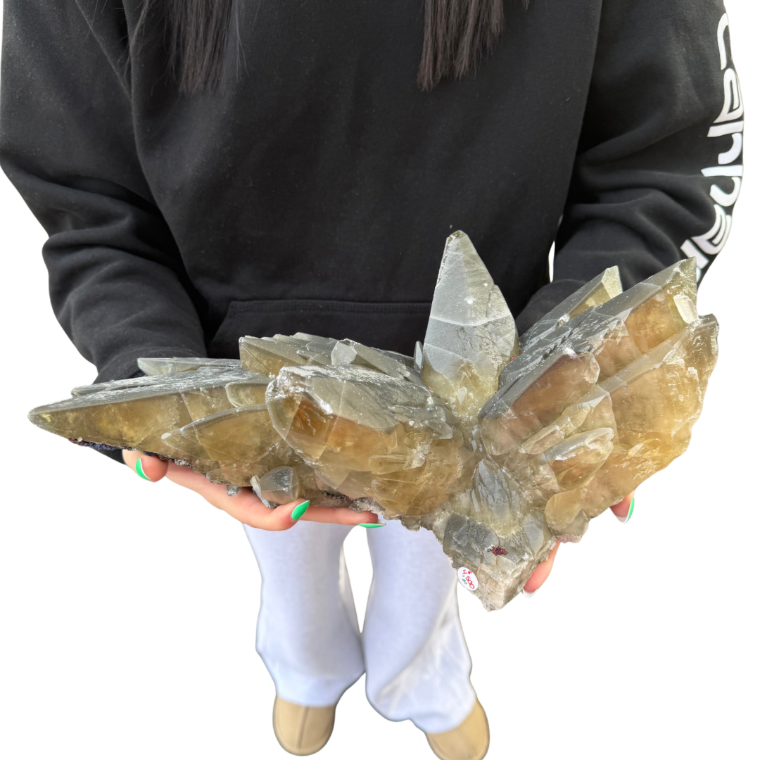 5ccd53a4-52ed-427d-84d8-bf2b9ec01891