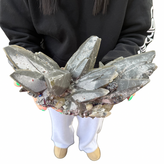 1cf2c93e-876a-4e81-9fb6-f850f94de72d