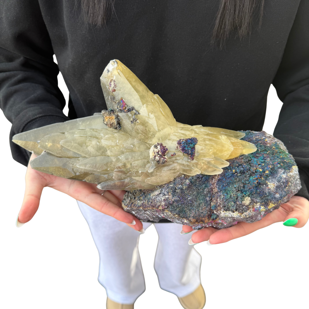 894b019c-70b2-4cdb-8165-e155e4ce99c2