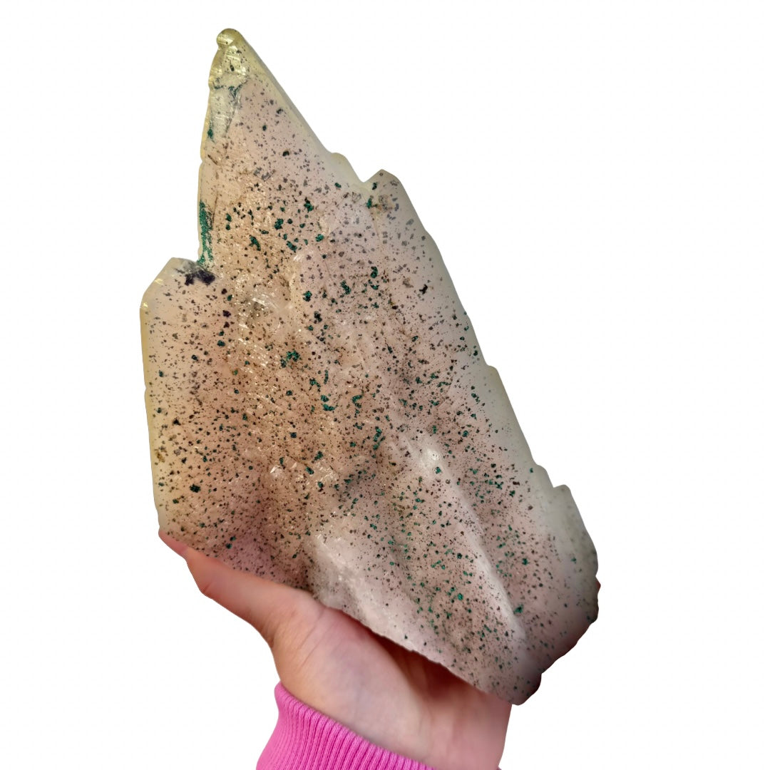 b4c295b4-8c08-4db6-b01b-34d39569f4a7