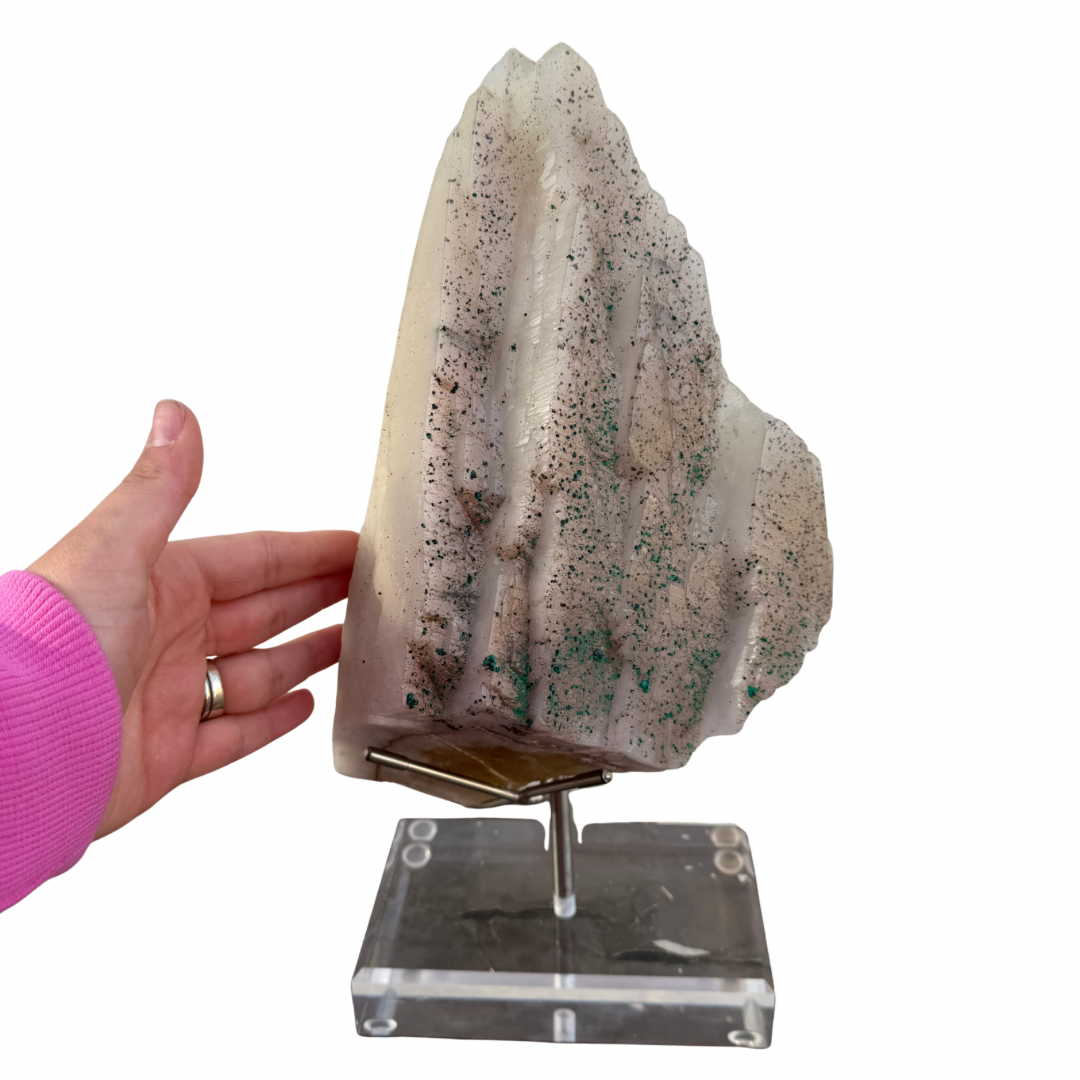 b8132be1-575d-47c5-a338-0c875dc76f85