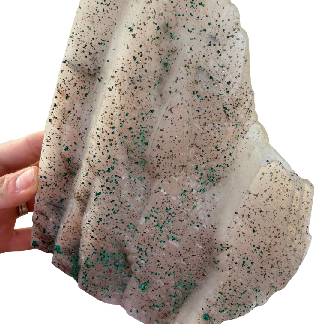 9686f07b-2558-4f31-898c-633c6b014721