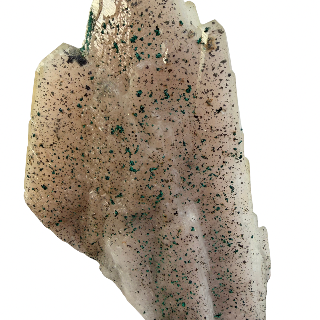 41fa9dfc-9eda-4e34-8943-f718aaf77d51