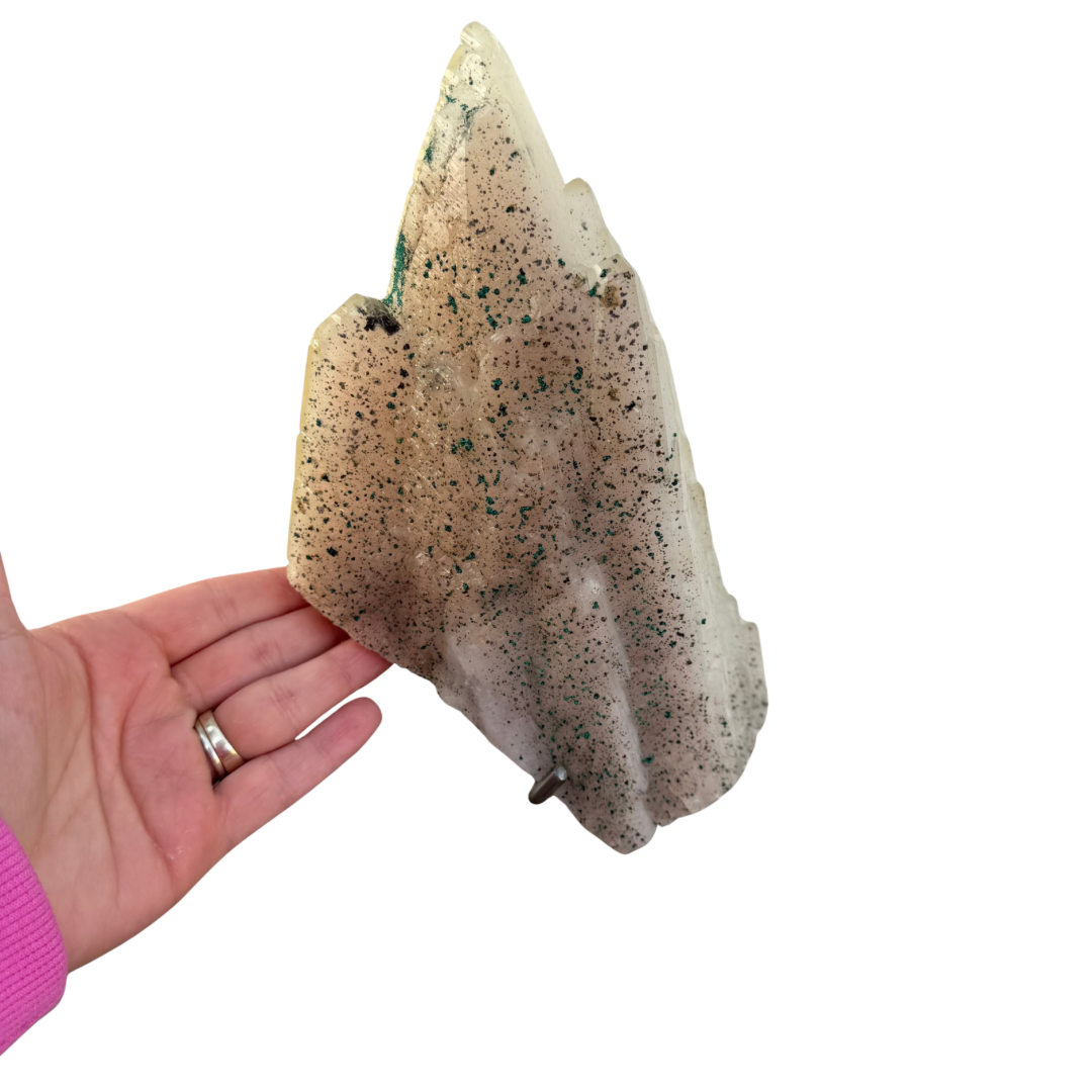 22f4ec5a-6e7f-40d5-a315-047737ee633f