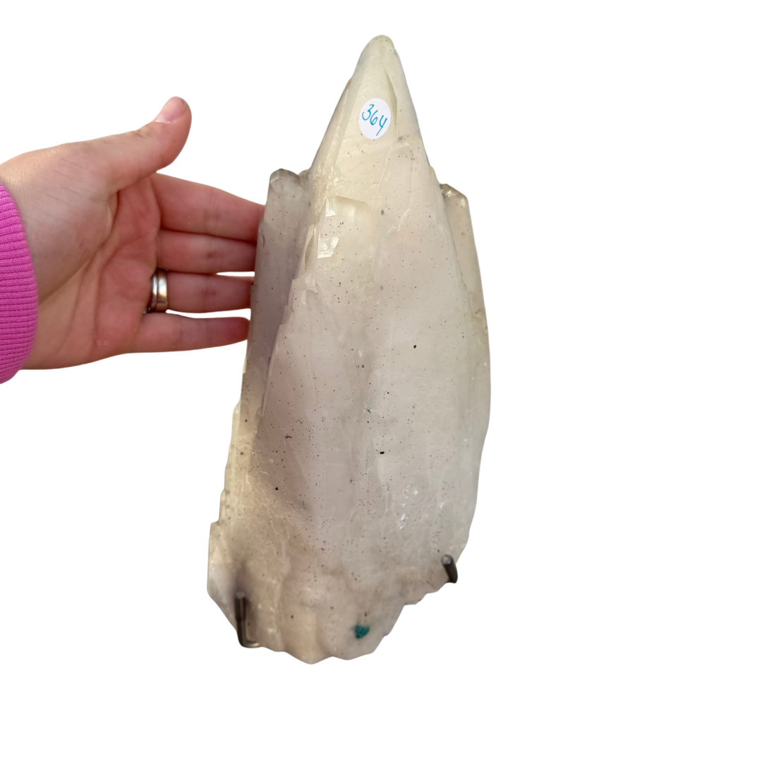 4c2809ed-482a-4fb2-a2ce-a70cd490d485