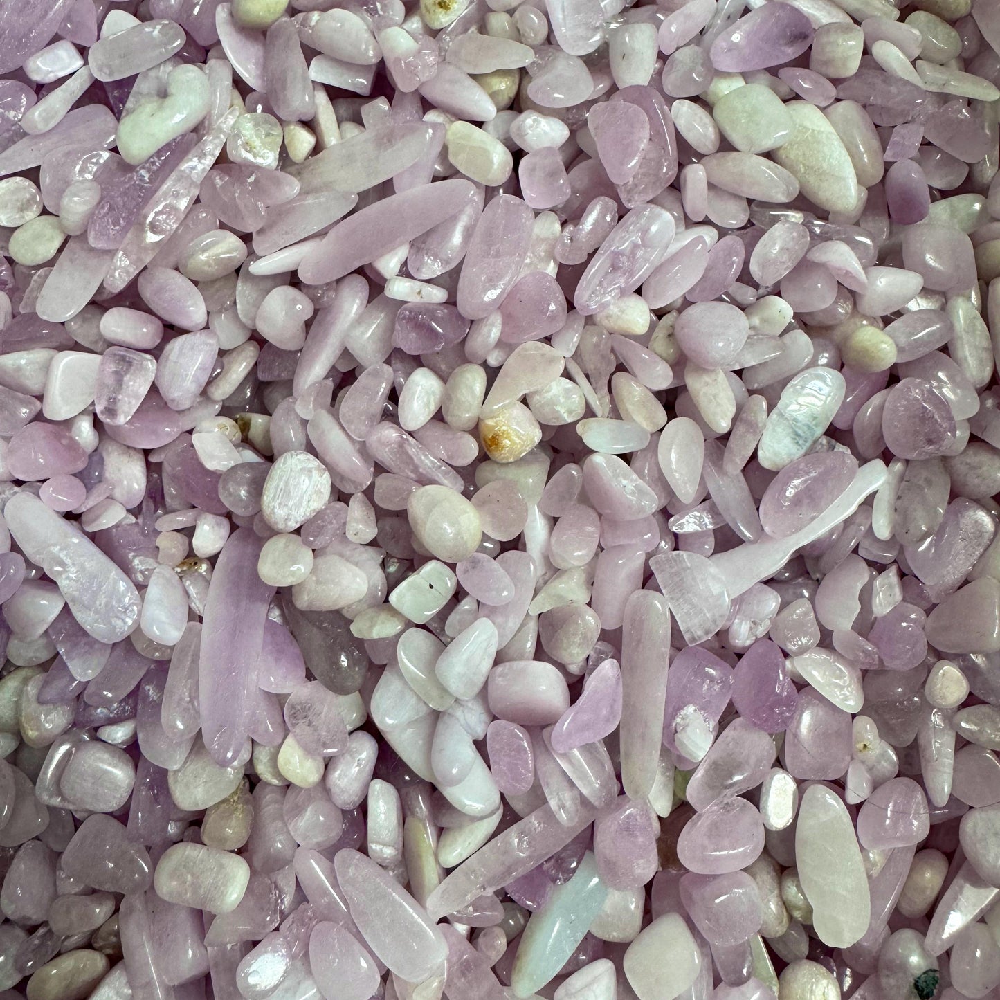 1lb Chip - Kunzite